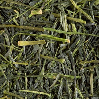 Sencha Koto 100g - Thé vert Nature